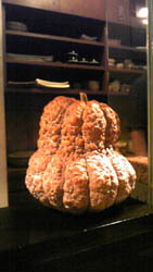 20090818ڂH.jpg